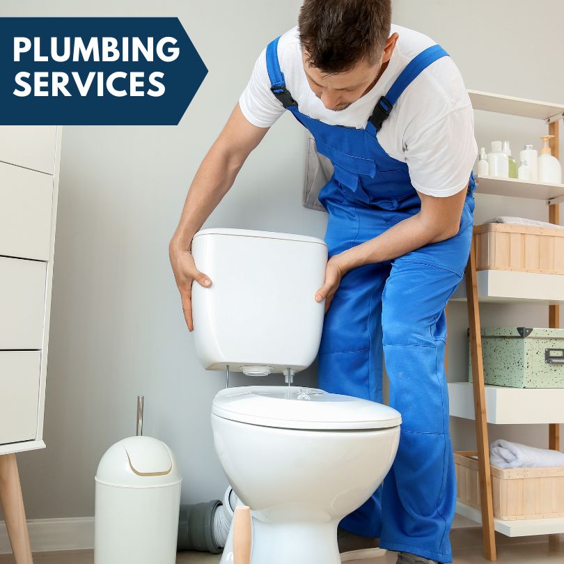 Plumbing Company in Alto, GA